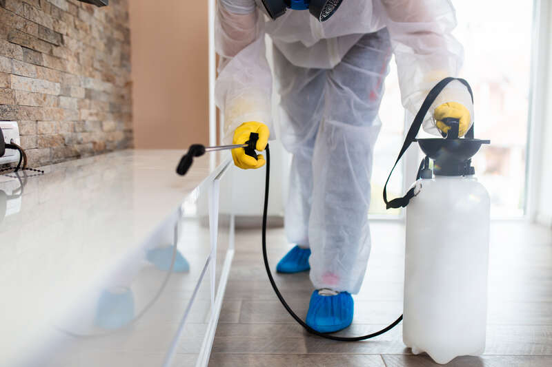 Pest control technician on site